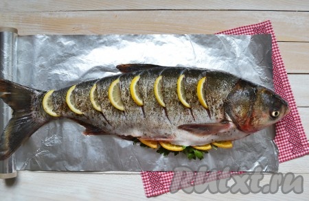 Смесью соли и перца хорошо натереть рыбы внутри и снаружи. В надрезах тоже посолить и поперчить, вставить тонкие ломтики половины лимона. Брюшко наполнить веточками петрушки и дольками половины апельсина.
