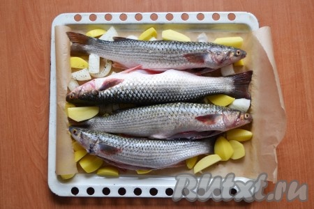 На картошку и лук выложить пеленгасов.
