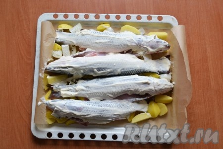 Каждую рыбку обильно смазать сметаной. Духовку разогреть до 180 градусов и запекать пеленгаса 45 минут.
