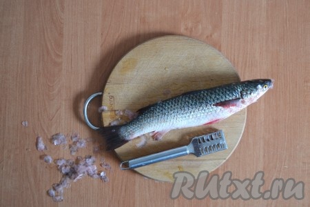 Очистить чешую с пеленгаса, удалить жабры и внутренности. Рыбку хорошо промыть под проточной водой. Натереть солью пеленгаса и внутри, и снаружи.
