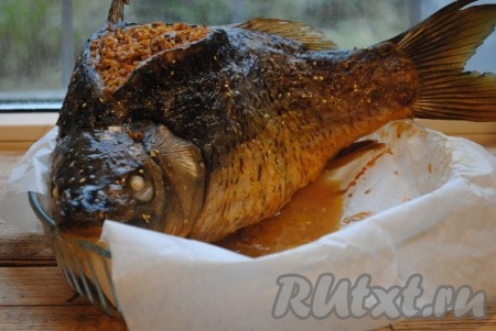 Отправить карпа, фаршированного гречкой и грибами, в разогретую до 180 градусов духовку на 1 час. Время приготовления зависит от веса рыбы. Чтобы гречка сверху не присохла, рыбку нужно прикрыть фольгой.&nbsp;
