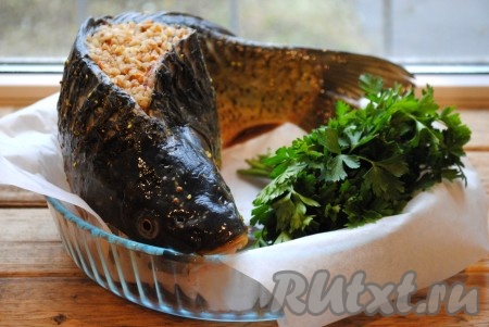 Жаропрочную форму застелить пергаментом и выложить карпа спинкой вверх. Рыбную кожицу смазать сливочным маслом - это нужно для того, чтобы в результате у нас получилась красивая и золотистая рыбка.&nbsp;
