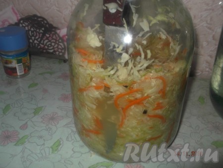 И оставляем в теплом месте на сутки. Через сутки берем нож и протыкаем им капусту в банке, чтобы вышел воздух.
