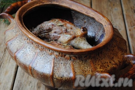 Затем обжаренные кусочки гуся сложить в горшочек, добавить соль, чёрный молотый перец, лавровый лист и розмарин.&nbsp;
