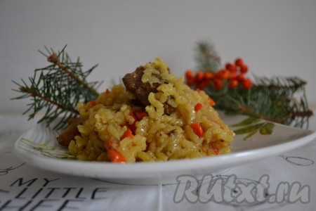 Очень вкусный, рассыпчатый плов из гуся готов. Блюдо достаточно жирное, поэтому необходимо подавать его с зеленью, маринованными фруктами или овощами, с острыми или кислыми соусами.
