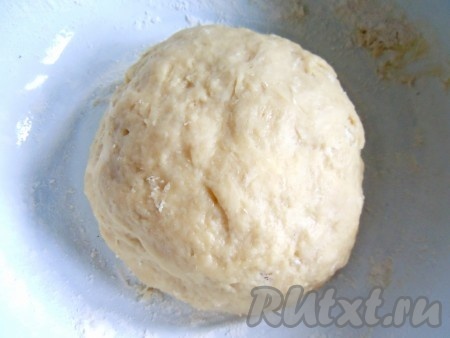 К опаре добавить&nbsp;растопленное и остуженное сливочное масло, сахар, соль и яйцо. Замесить гладкое тесто (вымешивать 5-7 минут). Тесто для сливового дрожжевого пирога должно быть на вид шелковистым и отставать от стенок миски. Домесить тесто на посыпанном мукой столе. Сформировать шар, положить в миску, накрыть полотенцем и оставить до увеличения объема вдвое (приблизительно 30-35 минут). Снова хорошо вымесить и отбить тесто на столе. Опять накрыть тесто и дать ему слегка подойти (приблизительно 10 минут).
