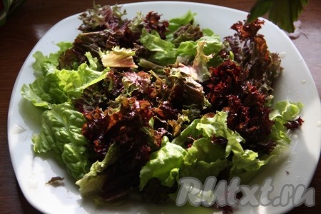 Листья салата вымойте, нарвите кусочками и выложите на блюдо.
