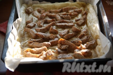 Через 15 минут достать тесто и выложить на него кусочки курицы.
