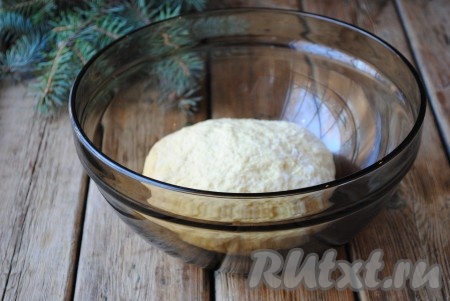 Яйцо соединить с солью и растительным маслом, взбить вилкой и вылить в миску к кефиру и дрожжам. Всё хорошо перемешать. Частями всыпать просеянную муку и замесить мягкое, эластичное тесто.&nbsp;
