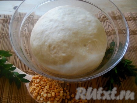 Затем добавьте соль, 1-2 столовые ложки растительного масла, постепенно введите просеянную муку, замешивая тесто. В конце замеса добавьте 1 столовую ложку растительного масла. Тесто получится мягким, легко отлипающим от рук.
