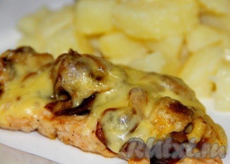 Отбивные из куриного филе с грибами
