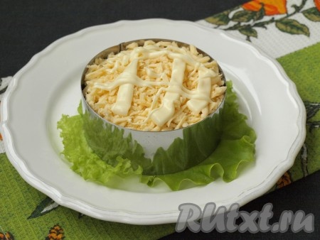 Твёрдый сыр, натерев на тёрке, выложить поверх яблок и нанести майонез.

