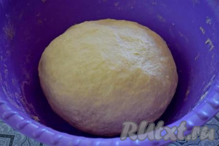 В общей сложности вымешивать дрожжевое тесто для ватрушек руками нужно минут 7. В процессе замеса, чтобы тесто меньше липло к рукам, можно слегка смазать руки растительным маслом. Добавляя муку и вмешивая её, учитывайте, что тесто должно получиться лёгким, но плотным по консистенции, к рукам оно липнуть не должно. Муки для замешивания теста может потребоваться немного больше или меньше, чем указано в ингредиентах, главное - ориентироваться на консистенцию замешиваемого теста. Скатать тесто в шар, смазать растительным маслом и убрать в тёплое место&nbsp;часа на 1,5-2&nbsp;(до увеличения в объёме в 2-3 раза).