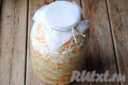 Банку с капустой прикрыть марлей и поставить в глубокую миску, так как уже на следующий день капуста начнёт бродить и рассол будет выливаться из банки. Капусту оставить при комнатной температуре на 2-3 суток. В течение этих 2-3 суток капуста будет бродить, поэтому 2 раза в день капусту нужно протыкать палочкой до самого дна банки, выпуская из банки&nbsp;воздух, и заливать обратно рассол, который вытек. Если этого не делать, капуста будет горчить.&nbsp;Через три дня закрыть банку крышкой и поставить в холодильник.&nbsp;На холоде завершится процесс брожения.