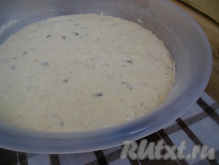 Накройте тесто пищевой плёнкой, сделав в плёнке несколько проколов, и оставьте на 1,5-2 часа в тёплом месте. Тесто подходит очень быстро, за это время его необходимо просто перемешивать при помощи ложки 2-3 раза. На фото видно, как будет выглядеть готовое тесто для выпечки.