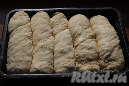 Выложить на противень, смазанный маслом или застеленный пергаментом, и оставить в тёплом месте на 20 минут.
