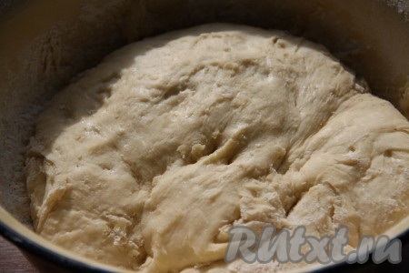 Оставить тесто в тёплом месте для подхода на 40-60 минут. Тесто хорошо увеличится в объёме.
