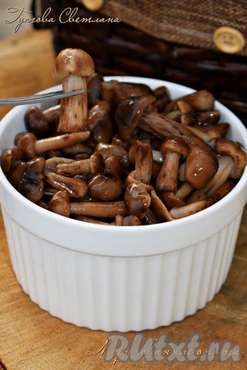 Опята промыть, дать стечь воде.
