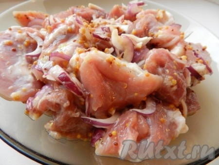 Свинину нарезать достаточно крупно и смешать с нарезанным луком, залить маринадом, перемешать и оставить примерно на 2 часа.
