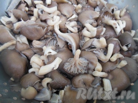 Залейте вешенки 1 литром воды, поставьте на огонь, после закипания варите вешенки на небольшом огне, примерно, 5-7 минут. Снова откиньте на дуршлаг, чтобы стекла лишняя жидкость.
