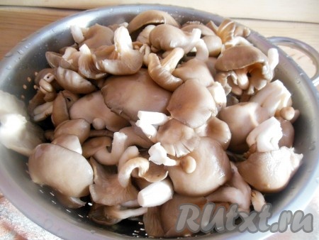 Промойте вешенки проточной водой, если есть корешки - отрежьте. Нижняя часть ножки грибов жёсткая - её также необходимо срезать. Если грибы крупные, то перед варкой нарежьте их на кусочки. Я взяла маленькие грибы, поэтому я их не резала. Выложите вешенки на дуршлаг, чтобы стекла вода.