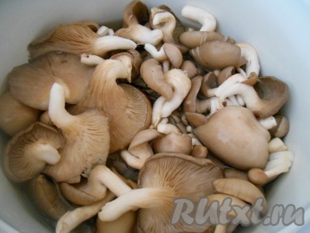 В кастрюлю налейте, примерно, 1 литр воды, поставьте на огонь, доведите до кипения и выложите вешенки (в процессе варки грибы выделяют сок и количество жидкости в кастрюле увеличится), варите с момента закипания на небольшом огне минут 7-10.