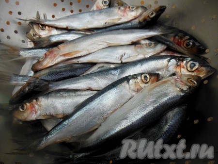 Если рыба замороженная, её нужно полностью разморозить. Салаку промойте в холодной воде, в затем выложите на дуршлаг, чтобы стекла лишняя жидкость.