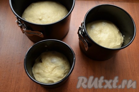 Формы для куличей смазать растительным маслом, на дно поместить пергамент. Тесто обмять и разложить его по формам, заполняя на 1/3 объема.&nbsp;
