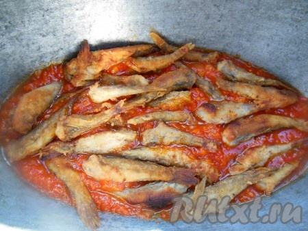 На дно толстостенной кастрюли (или утятницы) выложите первым слоем часть томатной заправки, затем добавьте часть бычков.
