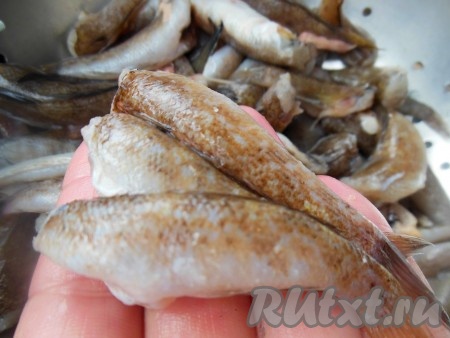 С помощью кухонных ножниц обрежьте голову и удалите внутренности. Очищать от чешуи бычки не нужно.
