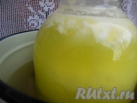 Поставьте на средний огонь (огонь не увеличивайте, так как творог станет резиновым) и варите минут 25-30, до тех пор, пока не начнёт образовываться сыворотка (как на фото), затем огонь выключите. Не вынимайте из воды банку, дайте полностью остыть.