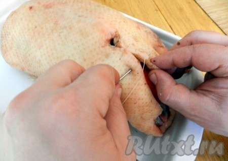 Положить утку в керамическую форму для запекания (или на глубокий противень), заполнить птицу внутри черносливом и яблоками. Влить внутрь утки, примерно, 1/4 смеси коньяка и яблочного сока. Утку зашить белыми нитками.
