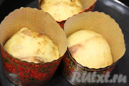 Тесто обмять и разложить по формам, заполняя их на 1/3 часть объёма. Оставить формы в тепле, накрыв их полотенцем на 1 час.