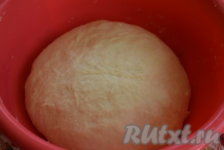 Начинаем замешивать тесто, оно должно получиться довольно однородным и мягким по консистенции. Если тесто будет немного прилипать к рукам, тогда понемногу добавляем муку (0,5 стакана муки будет в самый раз). Даём тесту подойти в тёплом месте в течение 1 часа, за это время оно увеличится в 2 раза.