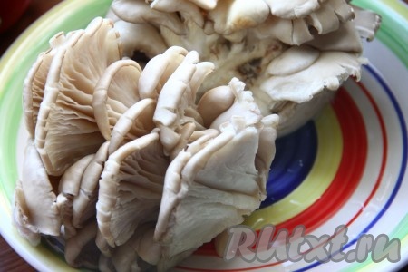Вешенки промыть и обсушить.