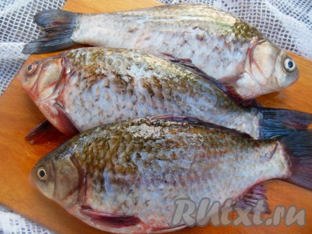 Карасей очистите от чешуи, уберите внутренности и жабры из головы.
