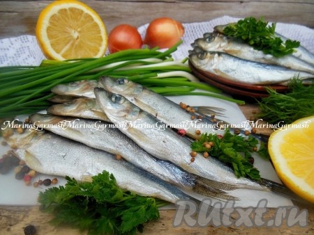 Для удобства перед подачей я очищаю рыбу от голов и внутренностей, добавляю маринованный лук и растительное масло. Пряную салаку, засоленную по этому рецепту, прекрасно дополнит зеленый лук, петрушка или укроп.
