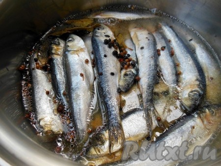 Сверху салаку в маринаде накройте тарелкой и уберите на 12 часов в холодильник. Через 12-15 часов наивкуснейшая салака пряного посола готова.
