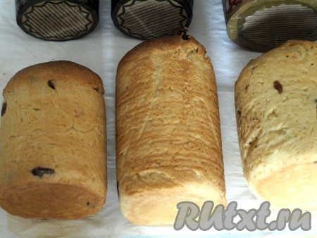 Поставить александрийские куличи в духовку, разогретую до 160 градусов, выпекать 20 минут, далее увеличить температуру до 180 градусов и выпекать ещё 10 минут. Готовность можно проверить при помощи деревянной шпажки. Куличи выложить на бок на полотенце и остудить, периодически переворачивая, прикрыть полотенцем.
