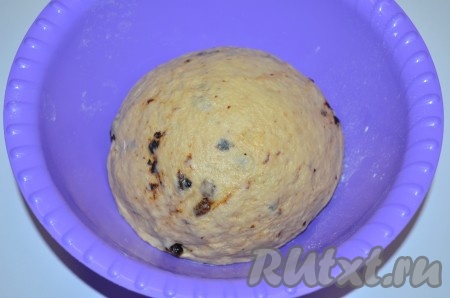 Тесто для дрожжевого кулича, замешанного на сгущенном молоке, переложить в миску, накрыть его пленкой.
