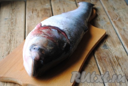 Толстолобика вымыть, очистить от чешуи, обрезать плавники, удалить внутренности.
