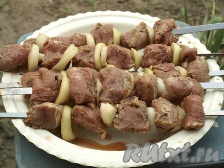 Перед приготовлением мясо посолить, затем нанизать на шампуры, чередуя с луком.

