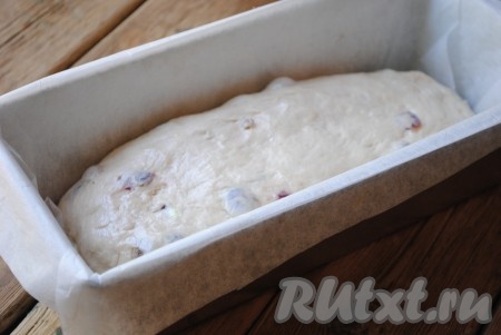 Спустя указанное время, тесто обмять.&nbsp;Форму для выпечки застелить пергаментом или смазать растительным маслом, выложить в форму тесто. Накрыть форму полотенцем и дать заготовке постоять около 30 минут. За это время тесто поднимется.
