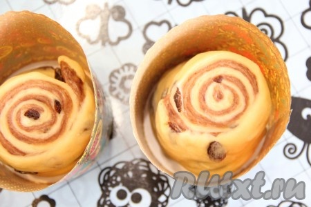 Свернуть тесто в плотный рулет. Разрезать получившийся рулет на две части и выложить в формы для выпекания (если форма для выпечки не бумажная - её можно смазать маслом), заполняя на половину объёма. У нас получится два кулича. Оставить тесто в формах на 1 час в тёплом месте.