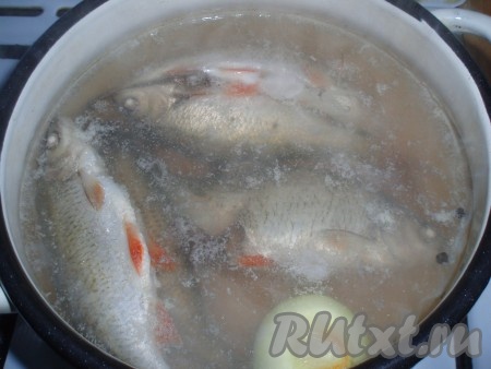 Когда содержимое кастрюли закипит, снять пену, посолить, добавить перец горошком и одну очищенную луковицу целиком. Убавить огонь до минимального и варить минут 20.
