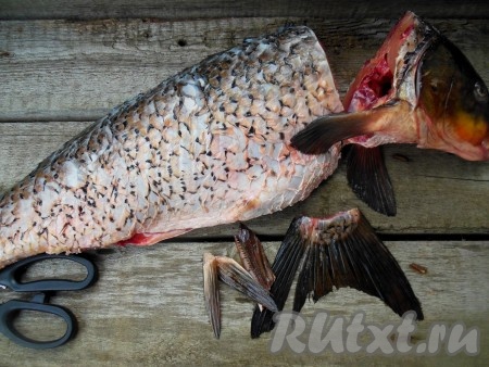 С помощью большого ножа отрежьте голову и хвост рыбы, срежьте плавники (я срезаю плавники кухонными ножницами). Голову я не жарю, она прекрасно подойдет для приготовления первого блюда.
