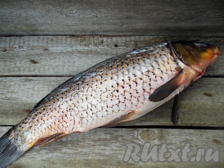 Промойте рыбу в холодной воде, снимите чешую (мне очистили чешую на рынке).