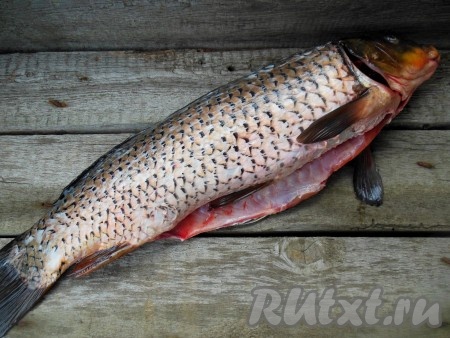 Затем разрежьте осторожно брюшко, стараясь не повредить желчь, удалите внутренности. Из головы удалите жабры. Хорошо промойте рыбу внутри.
