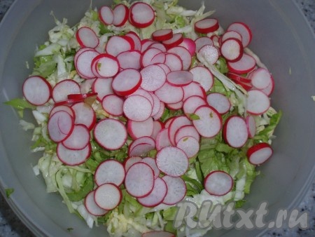 Листья салата тщательно вымыть, обсушить, измельчить руками и добавить к капусте. Туда же нарезать колечками редис.
