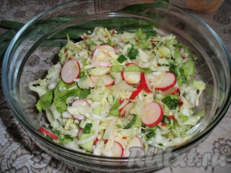 Перемешать, добавив перец, и, если нужно, соль. Свежеприготовленный, очень вкусный и полезный салат из молодой капусты и редиса с горчичной заправкой станет отличным дополнением к любому мясному или рыбному блюду.